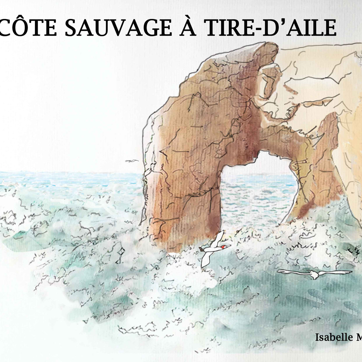 Page de carnet — côte sauvage de Quiberon. Croquis au trait rapide, rochers et écume, pris sur le vif.