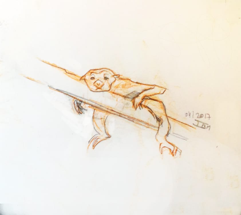 Singe — Parc de la Tête d'Or, Lyon. Étude à la sanguine sur papier, un jeune singe allongé sur une branche, la tête tournée vers le visiteur.